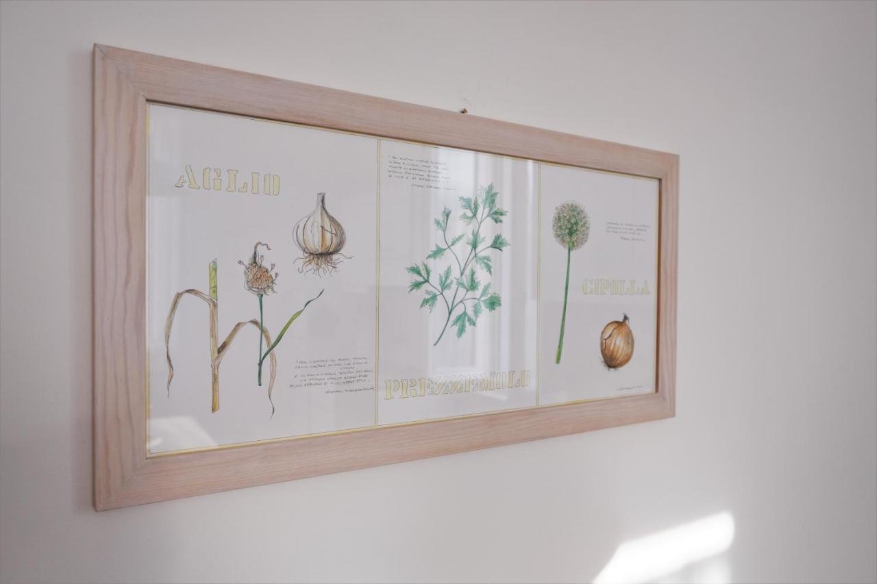 폴리뇨 Casa Alina- Art House 아파트 외부 사진